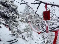 泰山积雪深度近20厘米达暴雪量级 景区暂停开放确保安全