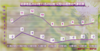 北京 冷冷冷冷冷！今天最高气温3℃左右，北风劲吹 寒潮蓝色预警中