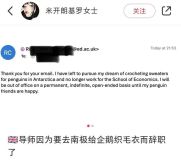 导师辞职原因去南极给企鹅织毛衣 网友：这是今天看到最可爱的事情