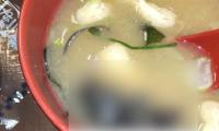 日本“食其家”味噌汤变老鼠汤，店方时隔两个月才承认 事件引发公众关注