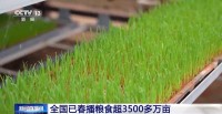 全国已春播粮食3500多万亩 进度与上年持平