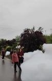 当地回应称水体并未污染 泡沫疑与天气有关