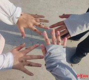 連云港海邊現(xiàn)大量食蚜蠅 景區(qū)回應(yīng) 已加強(qiáng)環(huán)境清潔