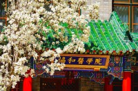 媒體五問輿論漩渦中的協(xié)和4+4模式 培養(yǎng)路徑引爭議