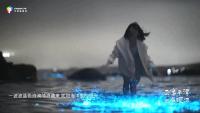 有人拿燈照海面游客誤以為是藍眼淚 人造美景引發(fā)爭議