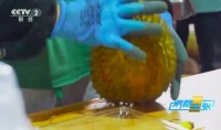 挑榴蓮要用搖的 網(wǎng)友：這個我懂，挑西瓜用拍的,！