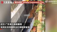 全红婵家新房因暴雨被淹 施工进度受影响
