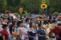 语文难、数学难、物理难频上热搜！专家称近年来高考总体难度在下降