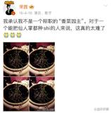 宋茜一個不發(fā)死字的女明星 打死不說“死”字背后