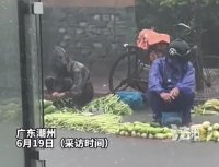 點(diǎn)贊！大雨中兩位老人仍在菜市場(chǎng)門口賣菜 好心網(wǎng)友讓女子把菜拿回家吃