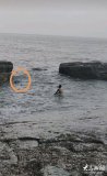 39歲6塊腹肌 張小龍?zhí)＞热俗呒t 軍人本色勇救落水者