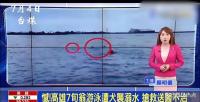 老人海里游泳遭3只野狗攻擊 海灘悲劇引發(fā)治理危機(jī)