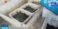 外賣店用草酸洗蝦多日不換水 衛(wèi)生問題嚴(yán)重被責(zé)令停業(yè)整改
