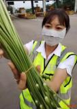 韭菜花上高速是否該收通行費(fèi) 目錄內(nèi)外引發(fā)爭(zhēng)議
