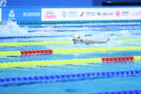 全运会泳池“大战”再诞生四金 “蛙王”“蝶后”登顶