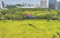 深圳首条空中公园观光线开通 低空经济蓝图成真