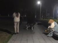 男子因质问遛狗不牵绳被打案二审 维持原判