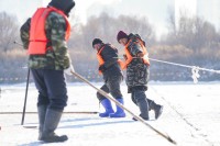 哈尔滨采冰现场堪比“俄罗斯方块”！