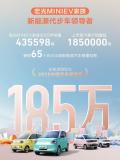 2025年五菱宏光MINIEV销量435598辆 蝉联A00级销冠