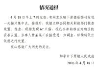 江苏67只猫已妥善安置 当事人受查 宠物医院提供庇护