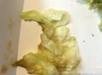 不吃生菜的顾客发现汉堡生菜变色 “粉丝”希望重视