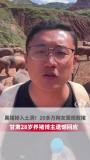 20万人在线“催救猪” 意外引发全网关注