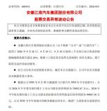 江淮汽车回应尊界V800懂车帝测试 刹车踏板断裂引关注