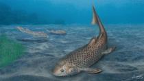 3.9亿年前化石揭秘肺鱼“吃饭”新模式