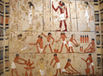埃及塞加拉发现多座古王国时期墓葬