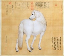 当人与动物和谐共生 祥瑞自然来了
