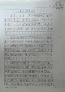 ​​﻿科学与童话的握手