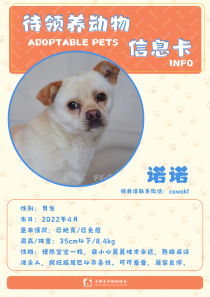 诺诺-狗-2022年4月