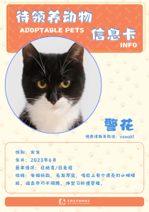 警花-猫-2023年6月