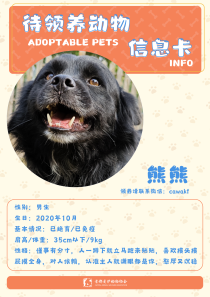 熊熊-狗-2020年10月