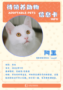 阿玉-猫-2024年9月