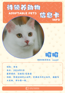 昭昭-猫-2024年9月