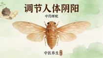 既能疏散风热、利咽开音，又能透疹止痒、明目退翳——蝉蜕