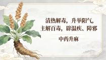 清热解毒，升举阳气，主解百毒，辟温疾、障邪——升麻