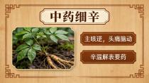 主咳逆，头痛脑动——细辛