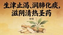 生津止渴、润肺化痰——知母