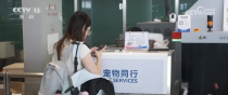 端午假期出行 “宠物友好”航线增多、服务升级