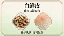 养护肌肤、清利湿热——白鲜皮