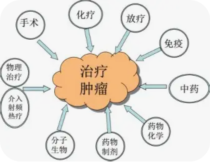 当外科医生、放疗科医师与遗传咨询师在会诊中对同一份基因检测结果给出三种截然不同的预后权重分配这背后是范式冲突还是认知