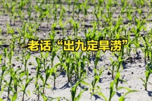 今日出九九 “出九三天雨,，農(nóng)夫跑斷腿” 春耕時節(jié)話旱澇