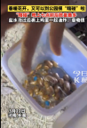 河南又可以摸”瞎碰”啦，春暖花开！