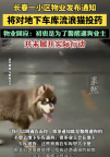 物业以投毒流浪猫为名制止地库遛狗！