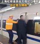 上海一女子阻擋高鐵關(guān)門？假 實為旅客下車被夾