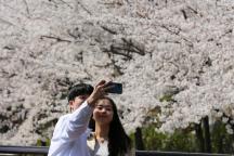韓國(guó)人有婚育意愿者比例升高 積極變化顯現(xiàn)