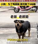 烤鸭店搬家小狗跑6站地找来蹭饭