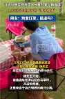 武汉现人狗分餐共享火锅店 爱宠人士新去处